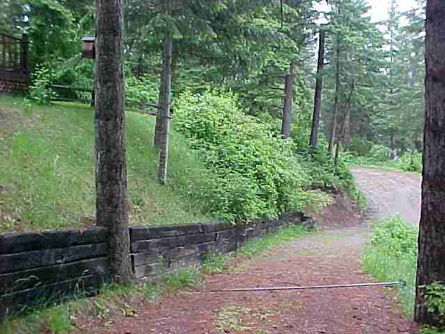 4104 Tamarack Bay Road Loon Lake, WA 99148 - Photo 5 of 9 Gallery Image 5