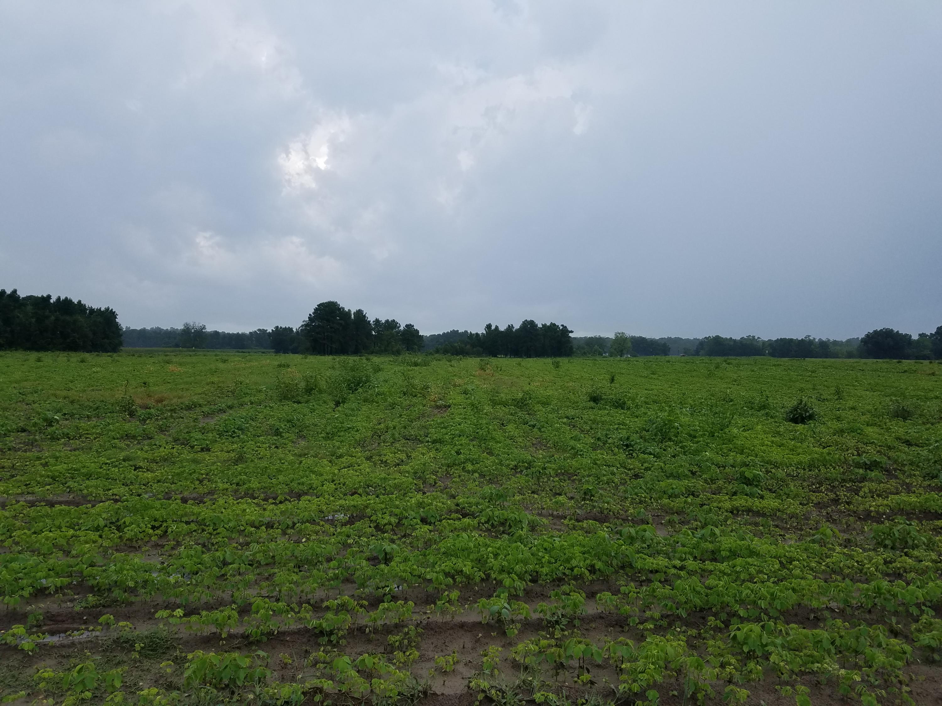 1 Apache Road Bowman, SC 29018 - Photo 1 of 3 20170726_140416
