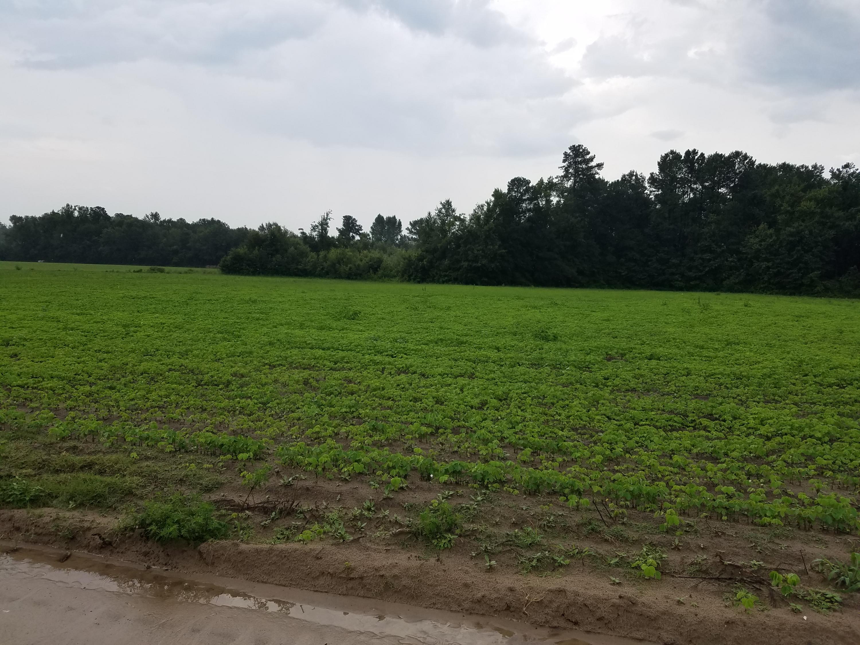 1 Apache Road Bowman, SC 29018 - Photo 2 of 3 20170726_140423