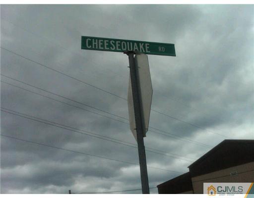 555 Old Water Works Road Old Bridge, NJ 08857 - Photo 7 of 12 a close view of shower