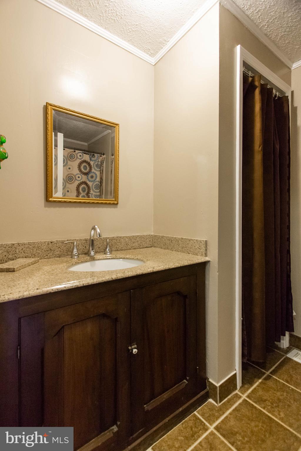 5207 Courtneys Corner Road Sumerduck, VA 22742 - Photo 14 of 30 Bath (Master)