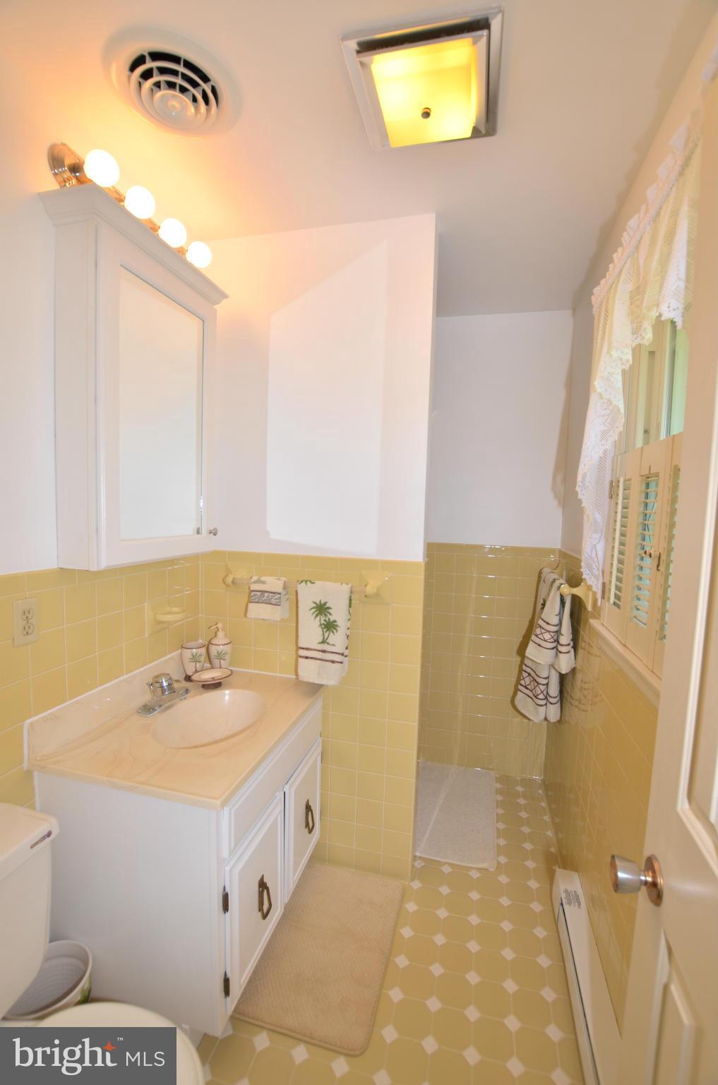 16758 Spielman Road Fairplay, MD 21733 - Photo 17 of 30 Master Bathroom