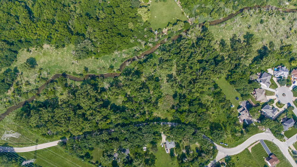 8806 Wolf Road Burr Ridge, IL 60527 - Photo 2 of 10 a view of a lush green forest with large trees