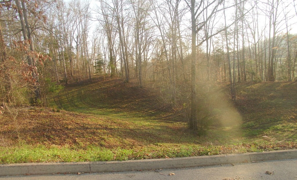 11 Pleasant Oaks Road Sevierville, TN 37876 - Photo 4 of 6