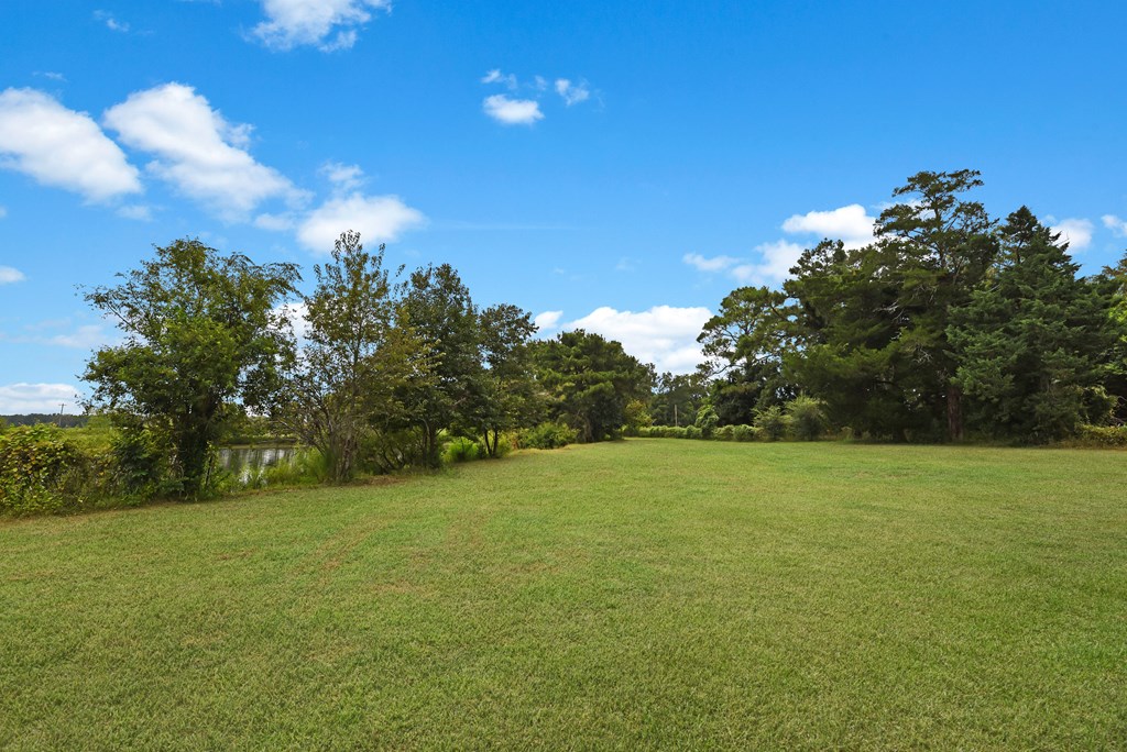 613 Collins Road Dothan, AL 36305 - Photo 32 of 41 Right side of yard view w/pond