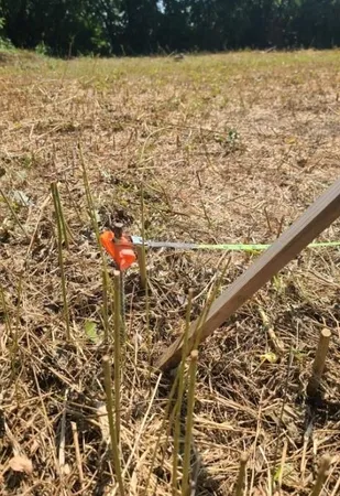 a view of outdoor space and garden