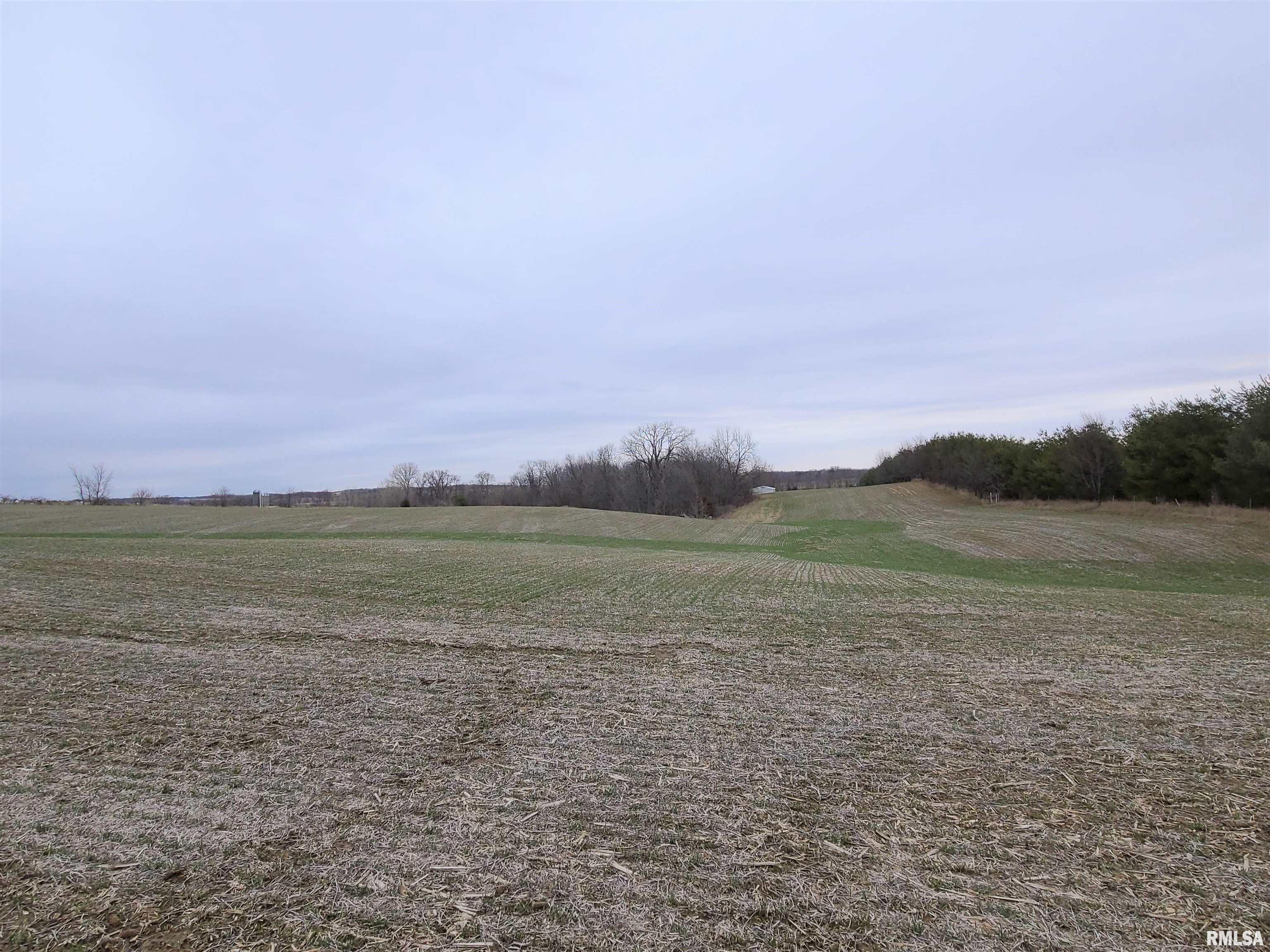 12984 Spring Valley Road Morrison, IL 61270 - Photo 8 of 20