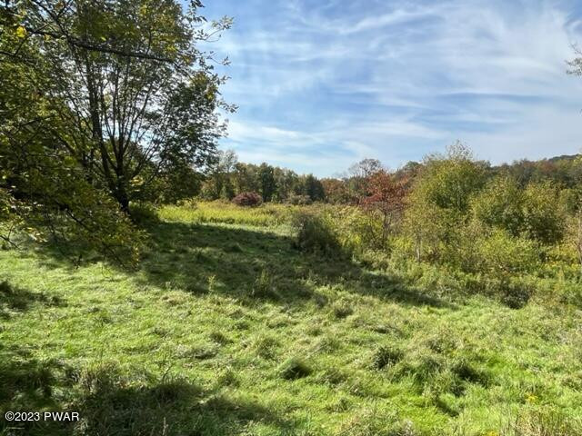 43 Obernburg Road Fremont Center, NY 12736 - Photo 19 of 35 LAND 5