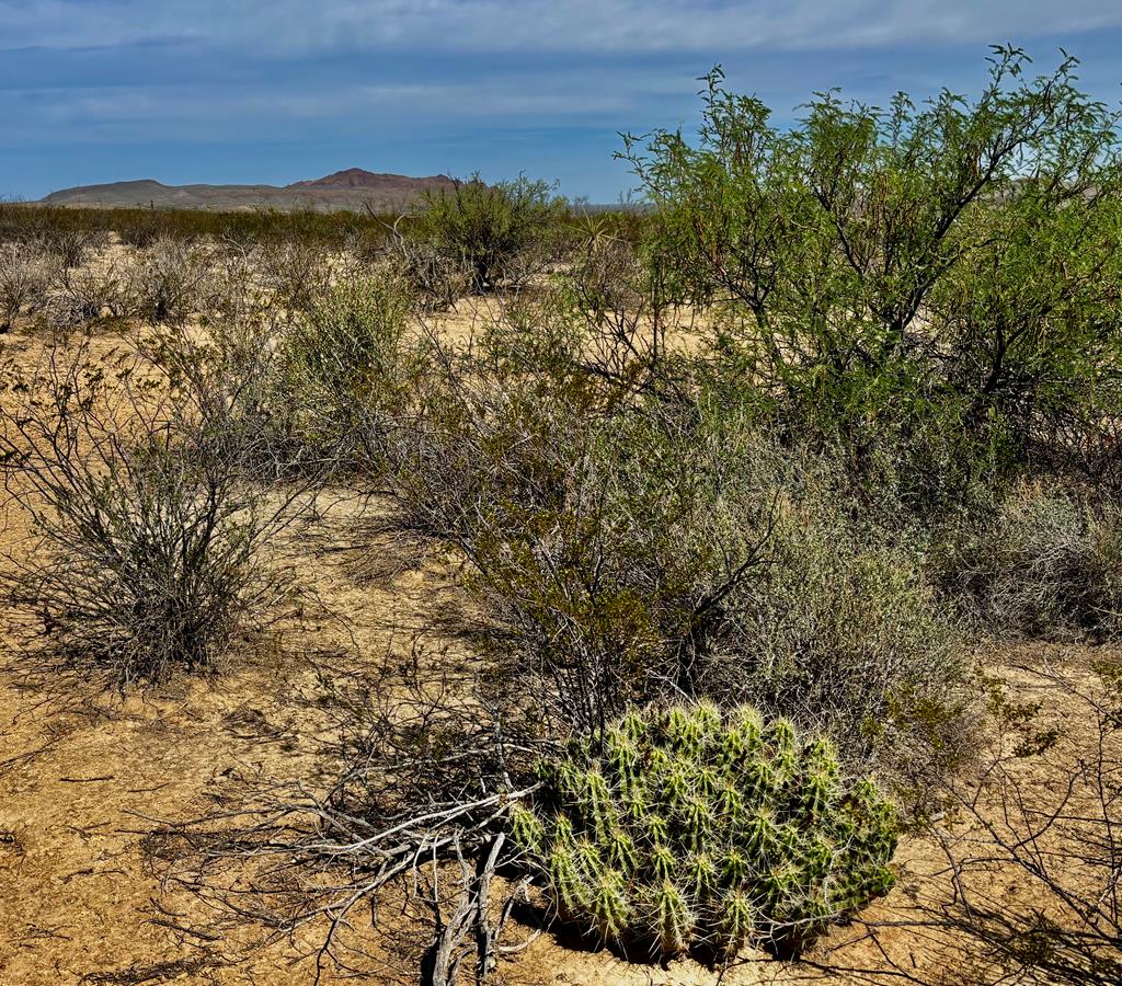 261 Romero Road Alpine, TX 79830 - Photo 14 of 26 Gallery Image 14