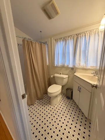 a bathroom with a sink a toilet a mirror and shower