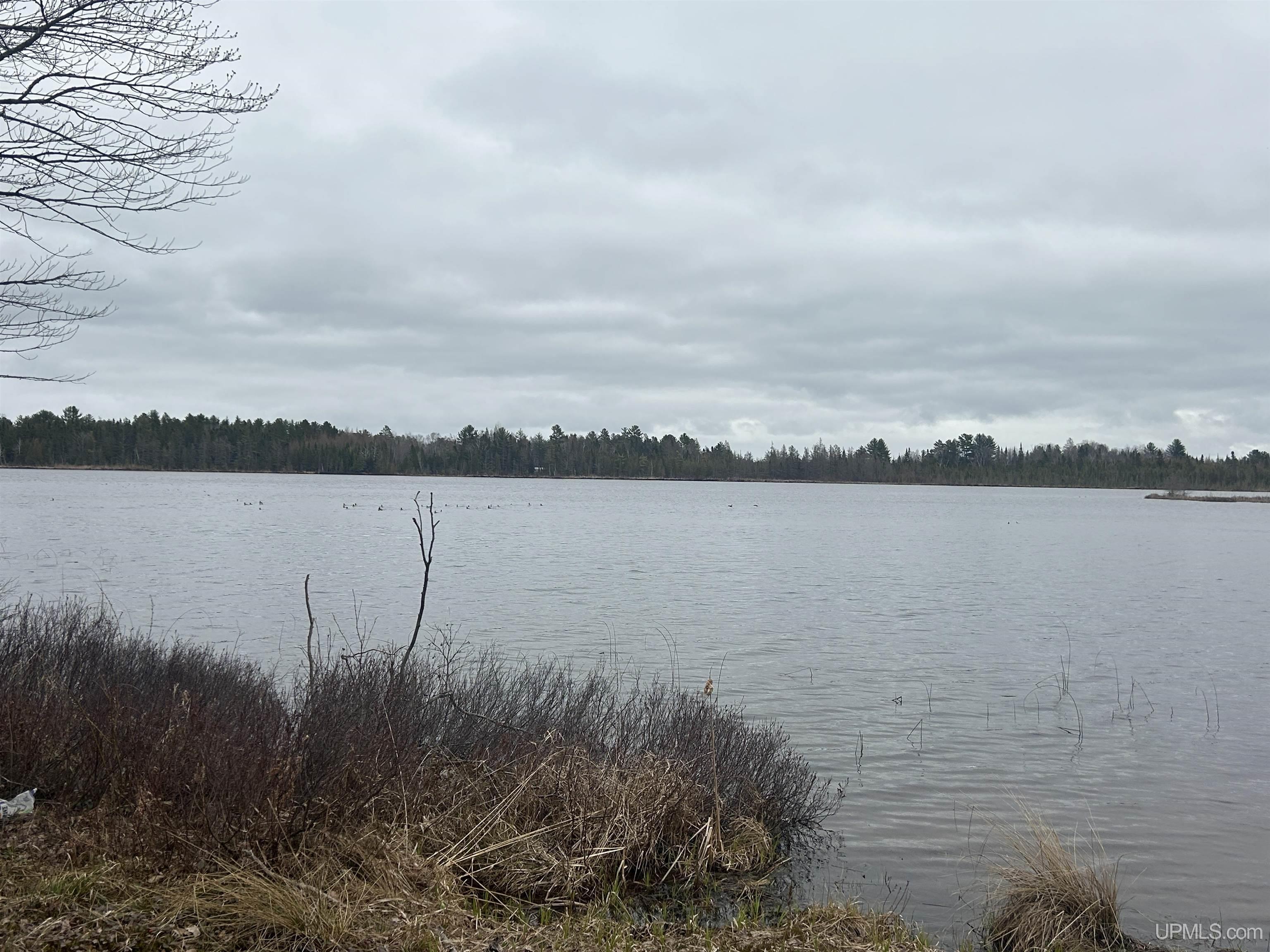 Parcel 3-off Parcel 3-off Johnson Lake Road Gwinn, MI 49841 - Photo 6 of 9