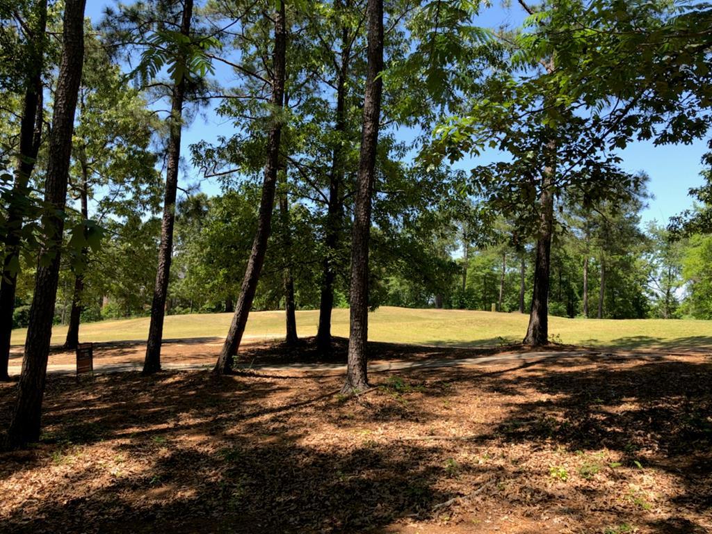 105 David Coley Road Macon, GA 31216 - Photo 6 of 6 a view of yard