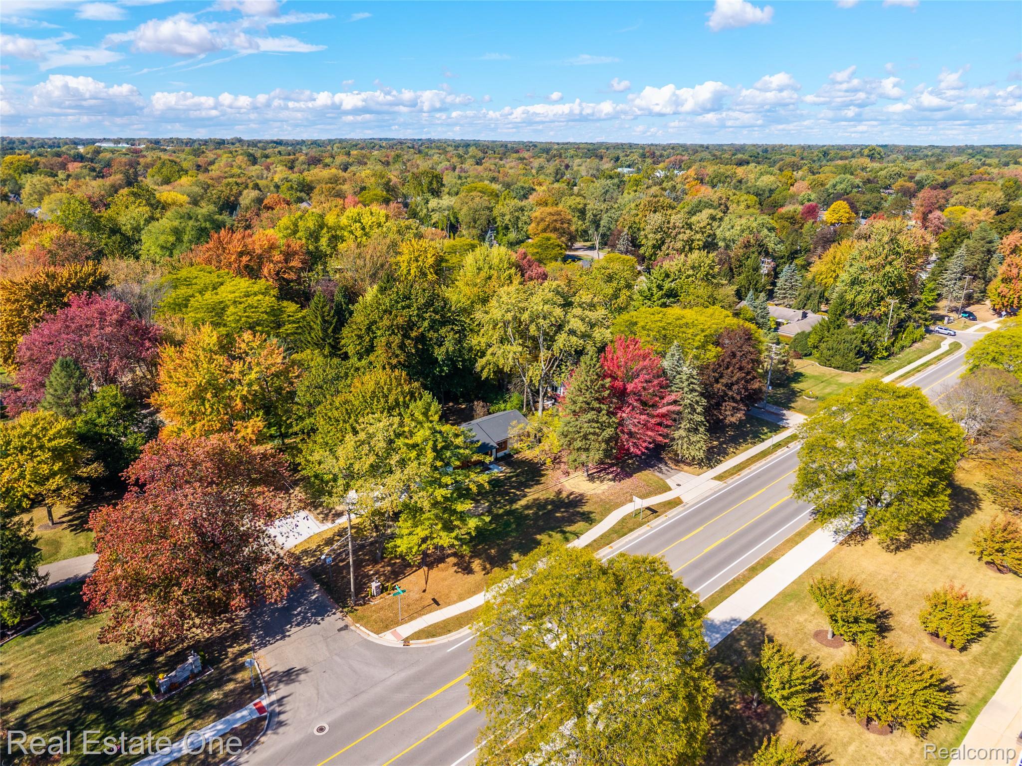 786 South Cranbrook Road Bloomfield Hills, MI 48301 - Photo 35 of 38 Bird's eye view of a forest