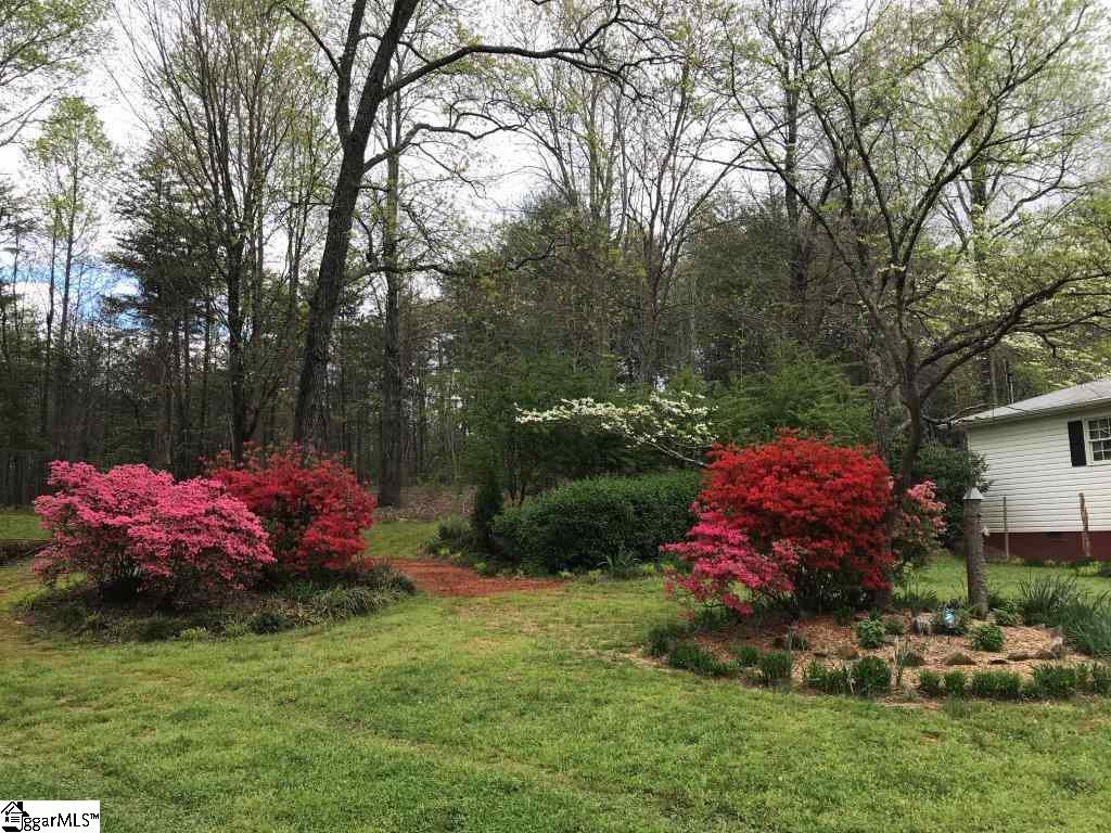 1039 Belue Mill Road Landrum, SC 29356 - Photo 20 of 26
