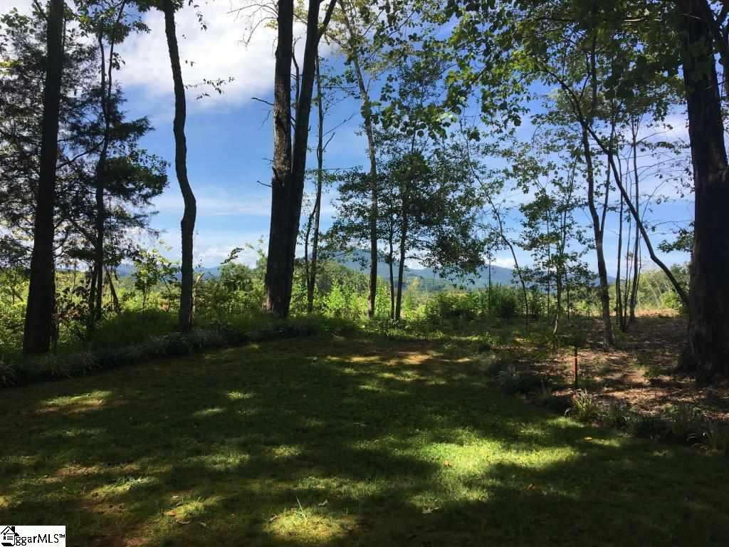 1039 Belue Mill Road Landrum, SC 29356 - Photo 25 of 26