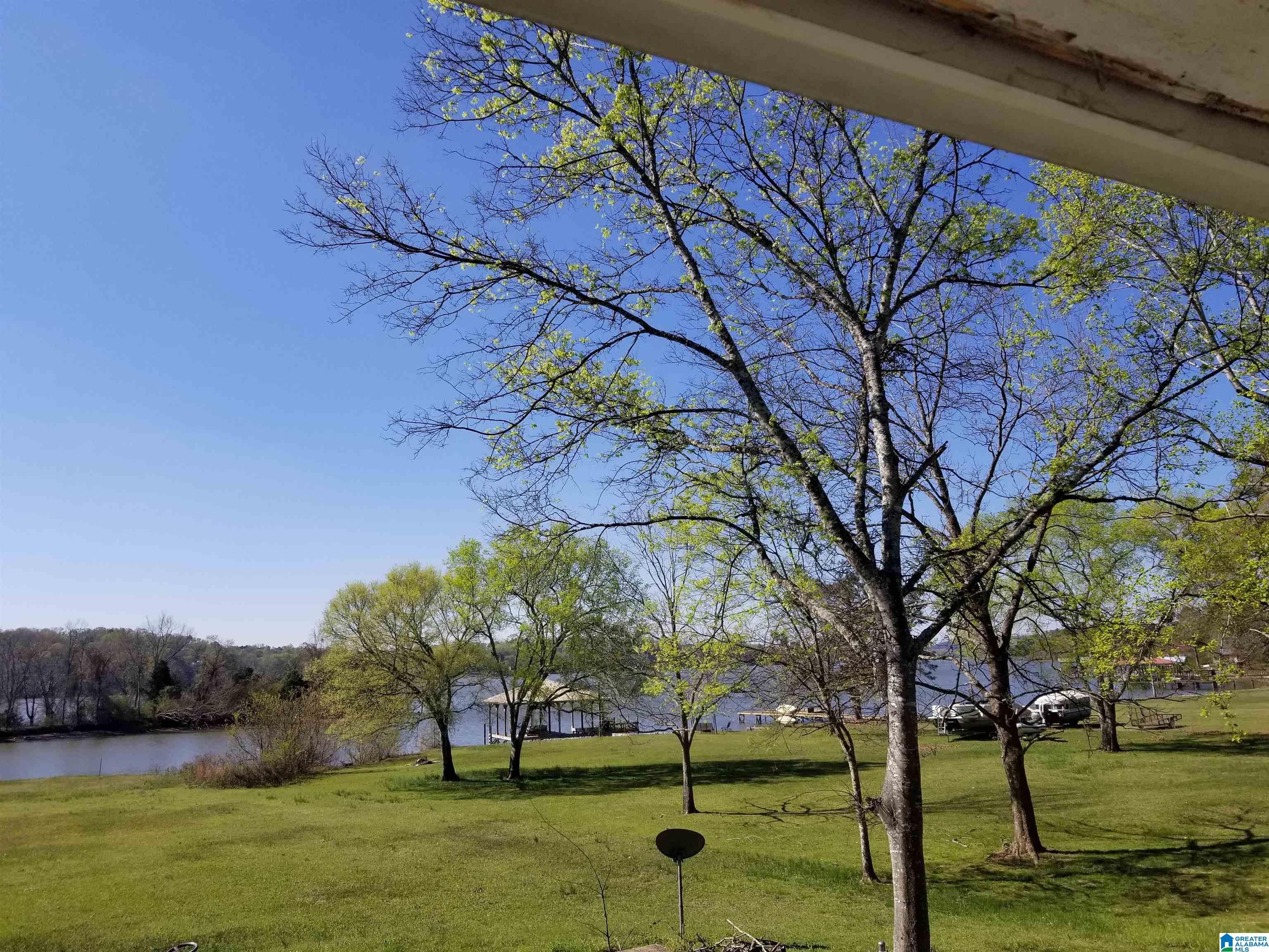 5400 Ranch Marina Road Pell City, AL 35128 - Photo 3 of 37