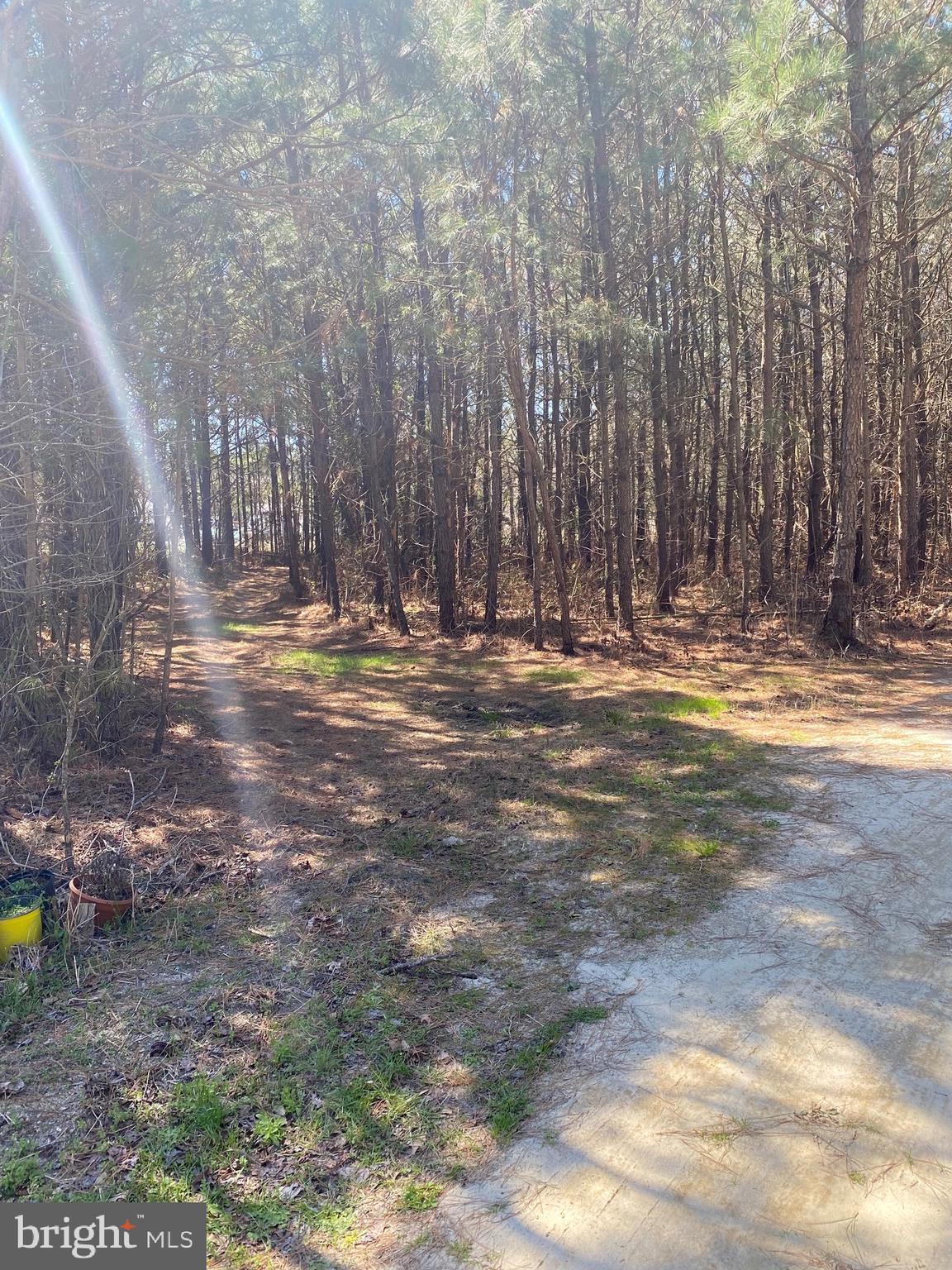 55 Old Rehobeth Road Marion Station, MD 21838 - Photo 3 of 7