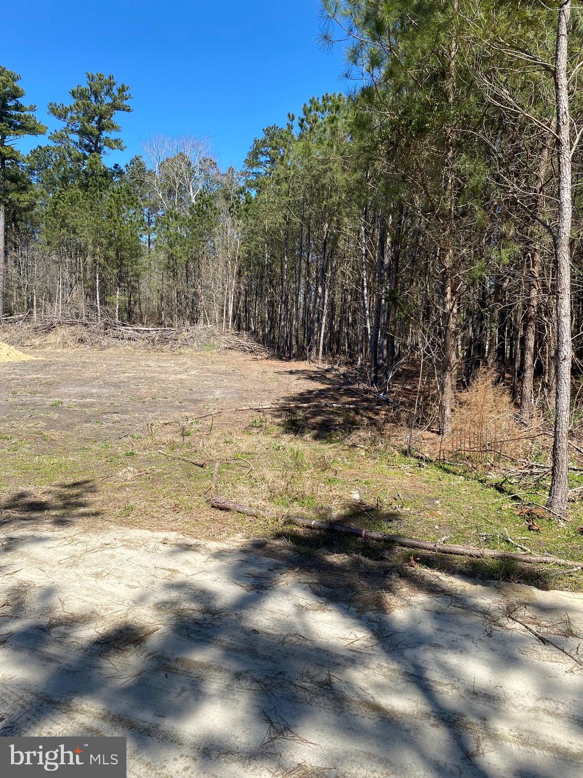 55 Old Rehobeth Road Marion Station, MD 21838 - Photo 6 of 7
