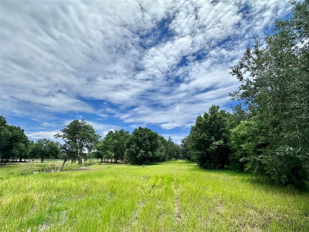 4946 Wauchula Road Myakka City, FL 34251 - Photo 9 of 9