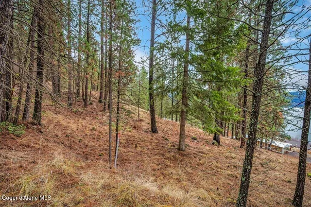 $250,000 | Nna East Crows Nest Road, Harrison, ID 83833