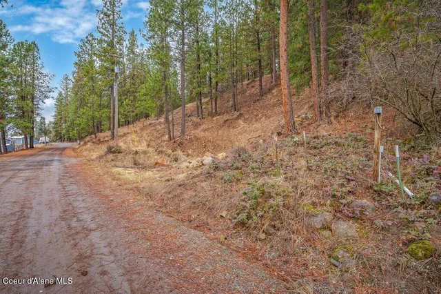 $250,000 | Nna East Crows Nest Road, Harrison, ID 83833