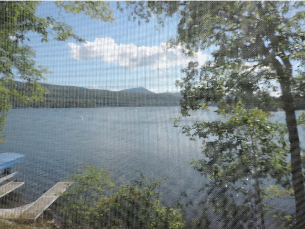 2432 West Lake Road Poultney, VT 05774 - Photo 31 of 36 Gallery Image 31