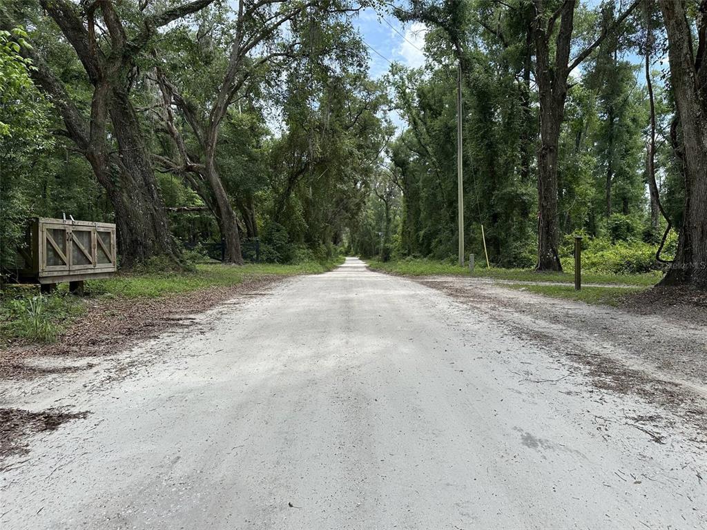 367 Kinard Road Fort White, FL 32038 - Photo 4 of 17 Gallery Image 4