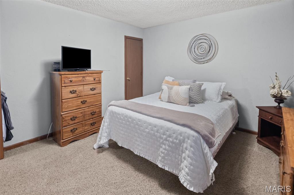 101 Jefferson Drive Waterloo, IL 62298 - Photo 19 of 49