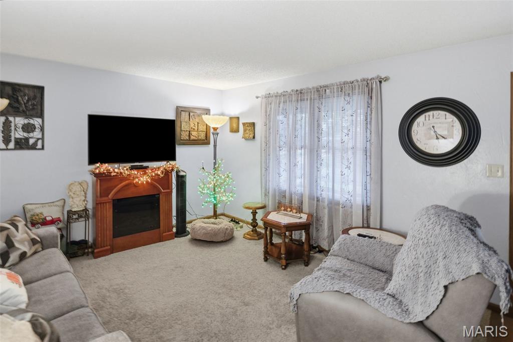 101 Jefferson Drive Waterloo, IL 62298 - Photo 24 of 49