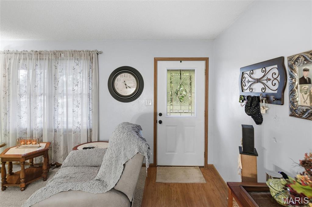 101 Jefferson Drive Waterloo, IL 62298 - Photo 25 of 49