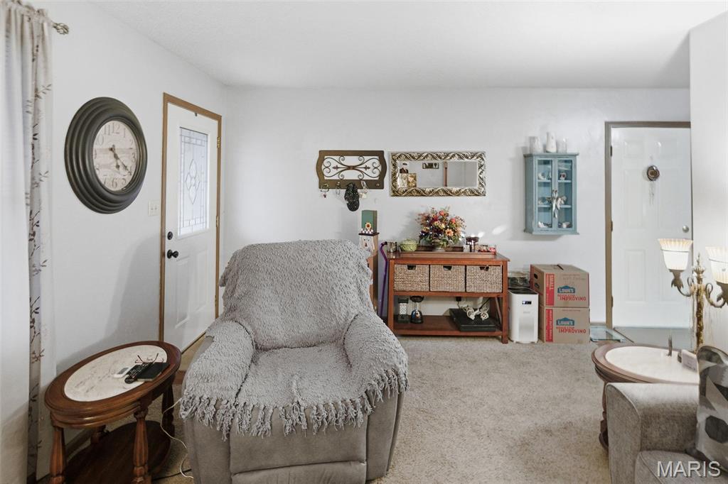 101 Jefferson Drive Waterloo, IL 62298 - Photo 26 of 49