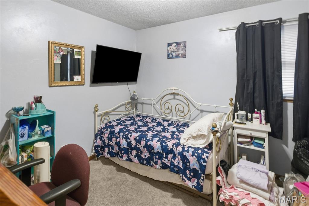 101 Jefferson Drive Waterloo, IL 62298 - Photo 34 of 49