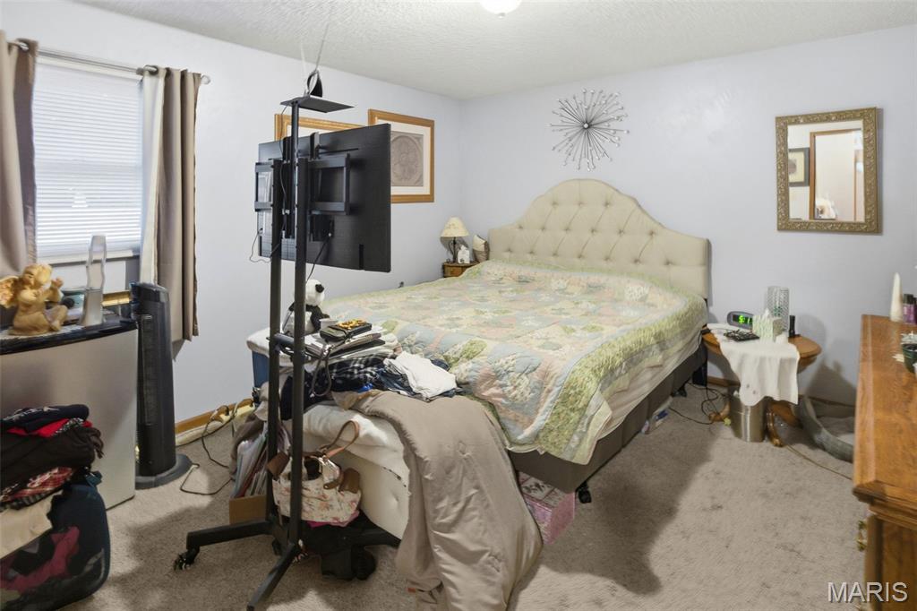 101 Jefferson Drive Waterloo, IL 62298 - Photo 39 of 49