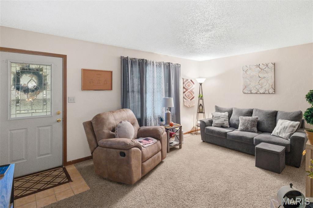 101 Jefferson Drive Waterloo, IL 62298 - Photo 5 of 49