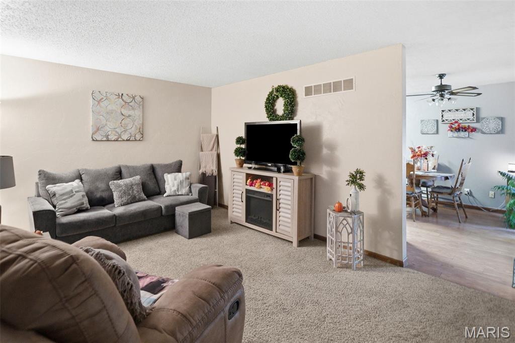 101 Jefferson Drive Waterloo, IL 62298 - Photo 7 of 49