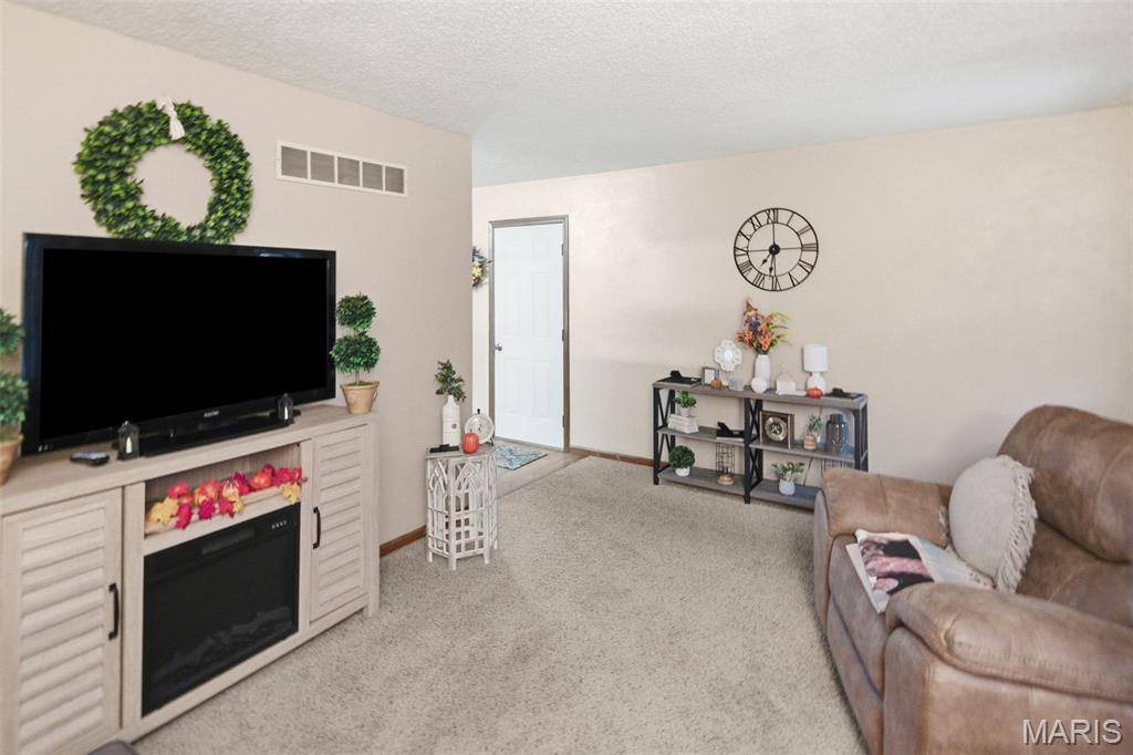 101 Jefferson Drive Waterloo, IL 62298 - Photo 8 of 49