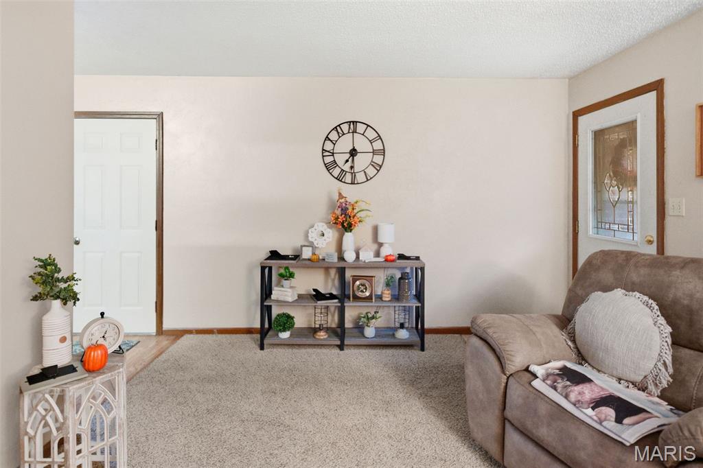 101 Jefferson Drive Waterloo, IL 62298 - Photo 9 of 49