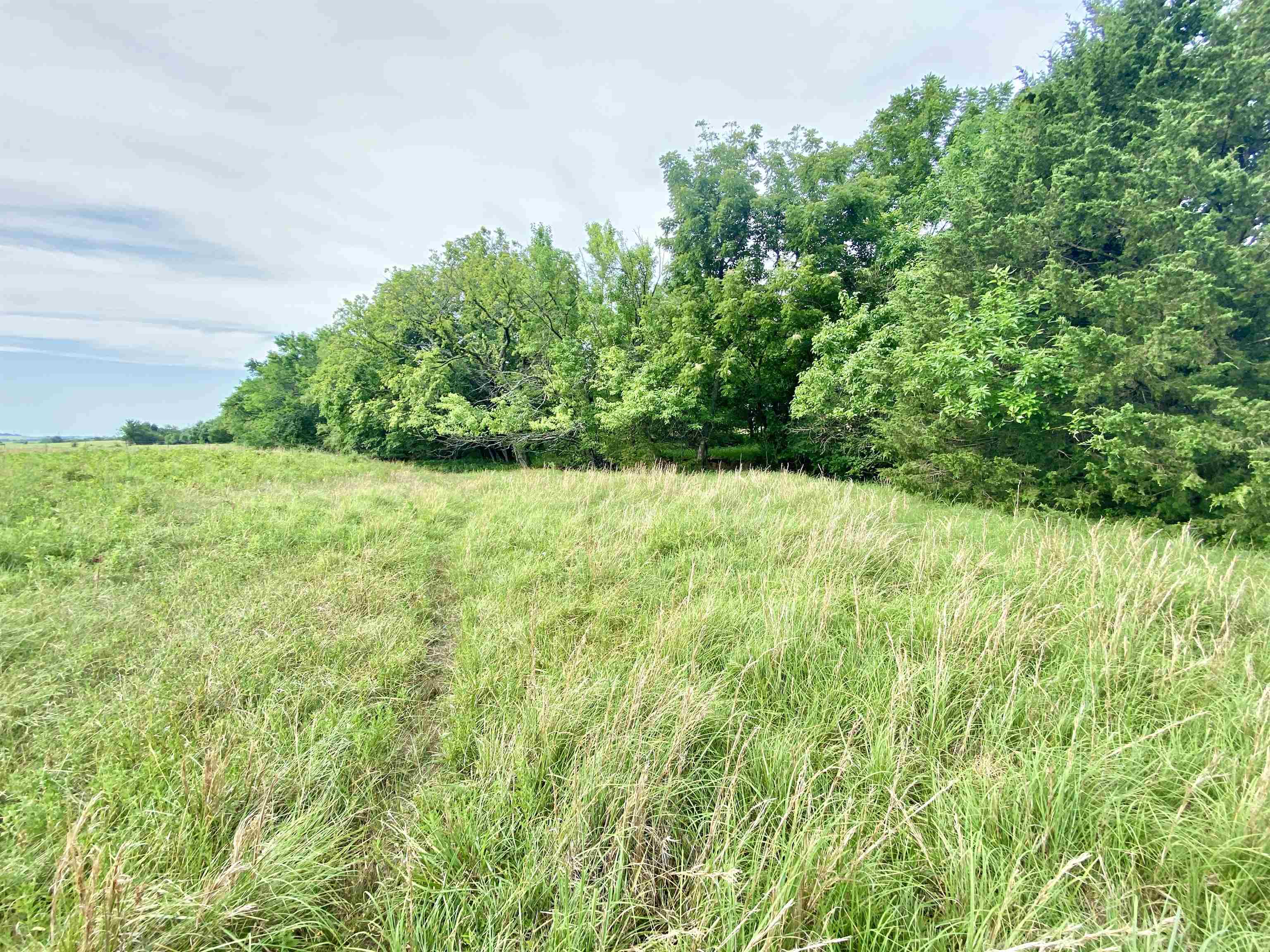 1380 4000th Road Elk City, KS 67344 - Photo 11 of 34