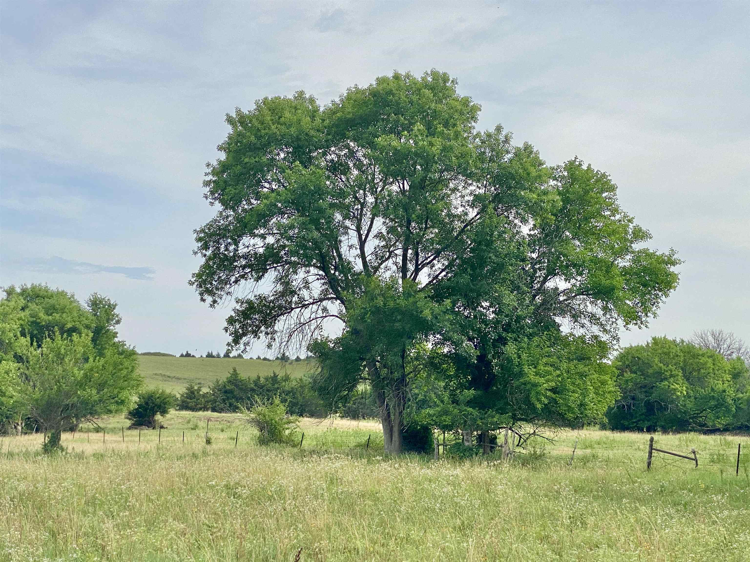 1380 4000th Road Elk City, KS 67344 - Photo 15 of 34
