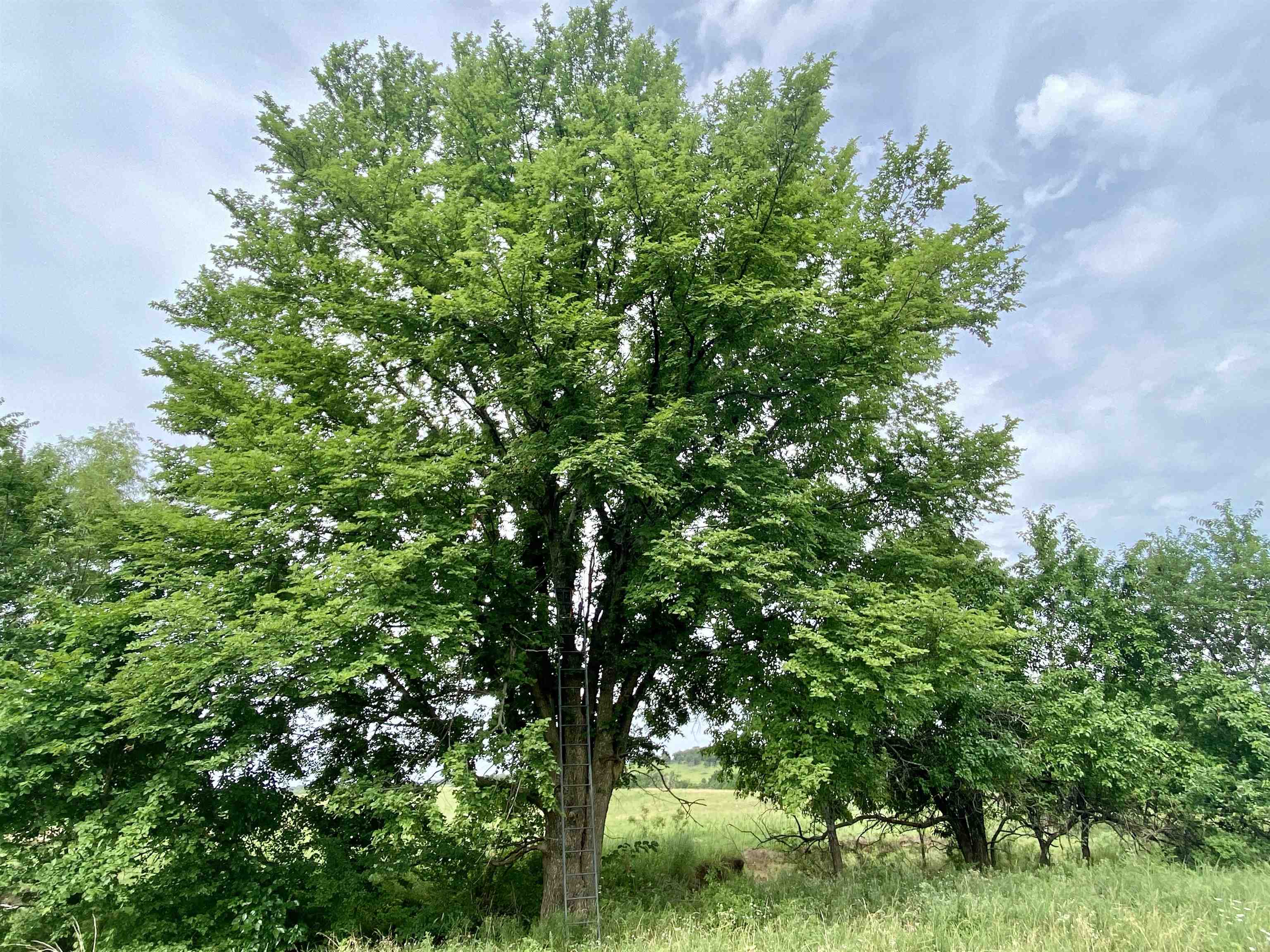 1380 4000th Road Elk City, KS 67344 - Photo 16 of 34