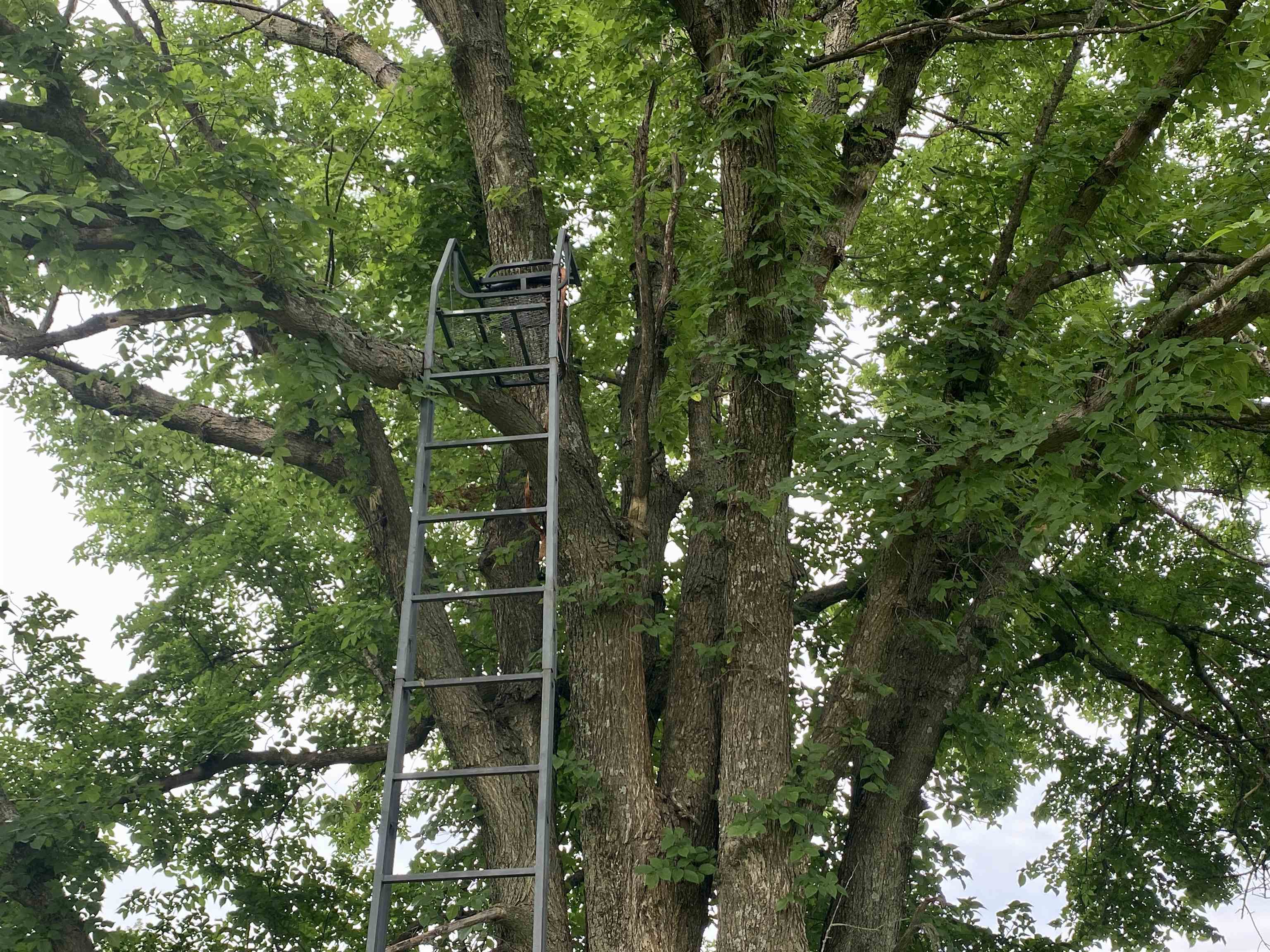 1380 4000th Road Elk City, KS 67344 - Photo 17 of 34