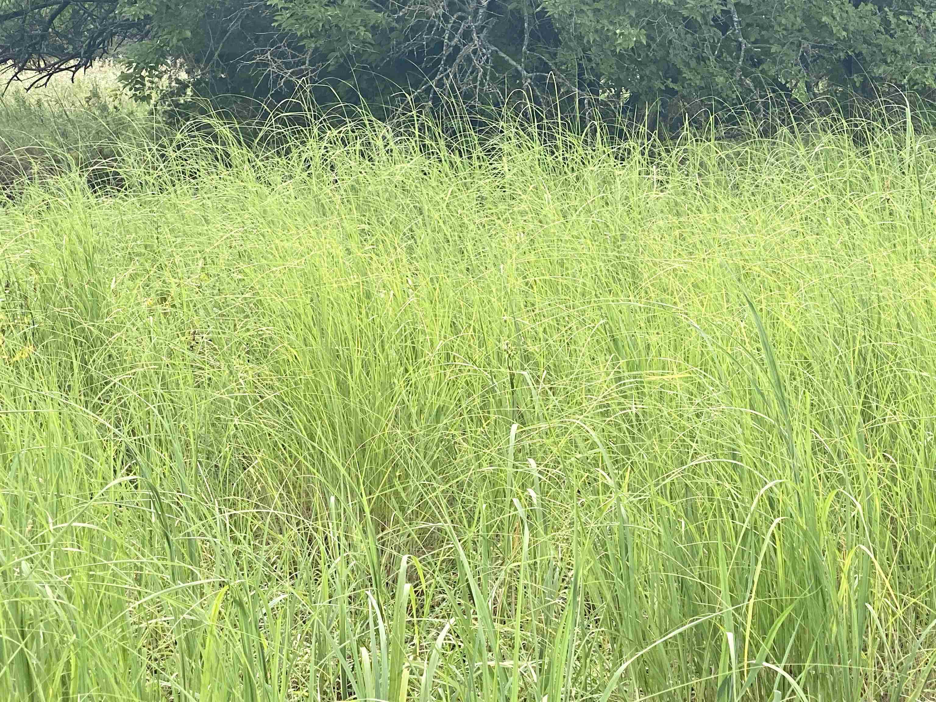 1380 4000th Road Elk City, KS 67344 - Photo 22 of 34
