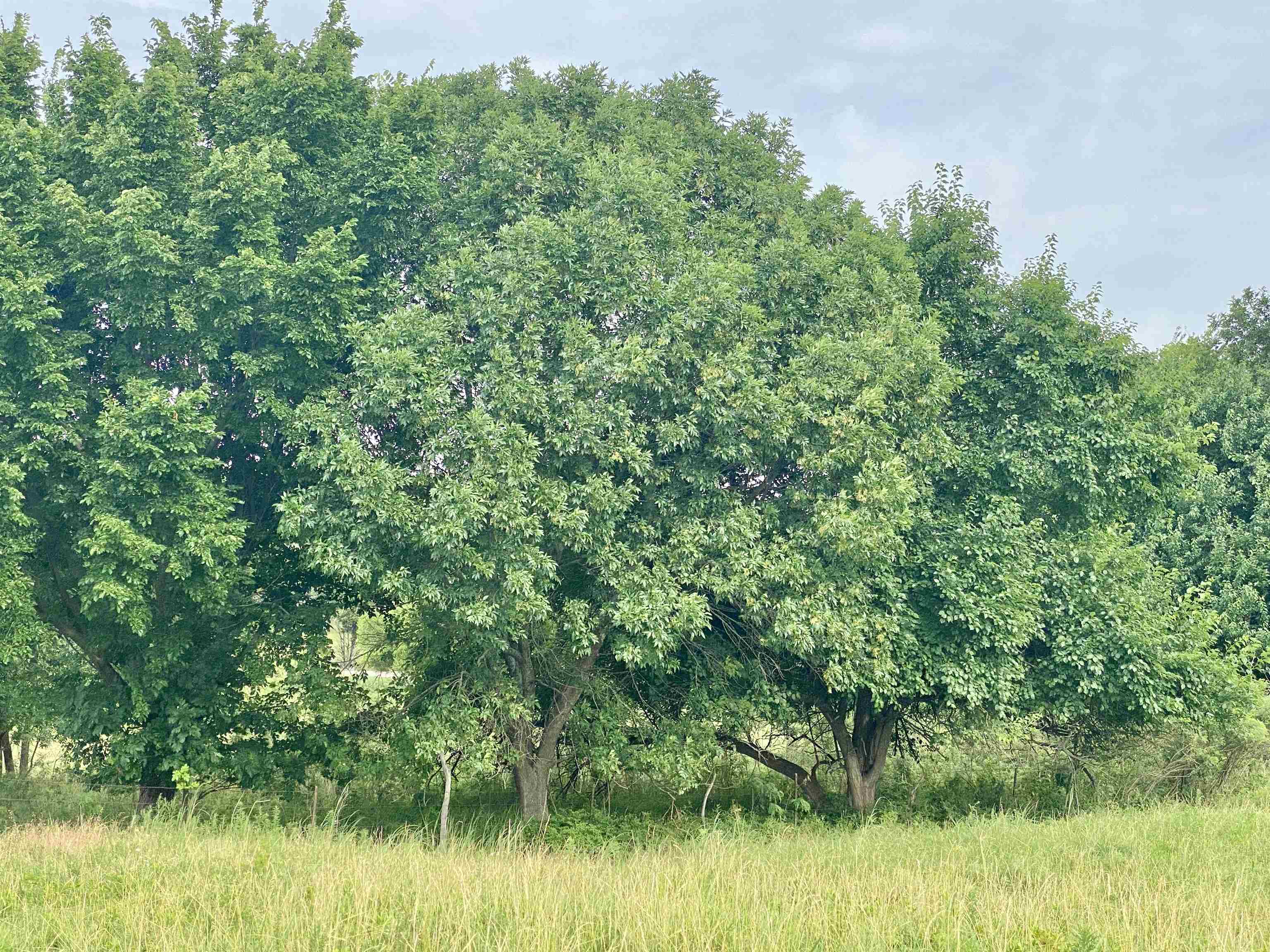 1380 4000th Road Elk City, KS 67344 - Photo 23 of 34