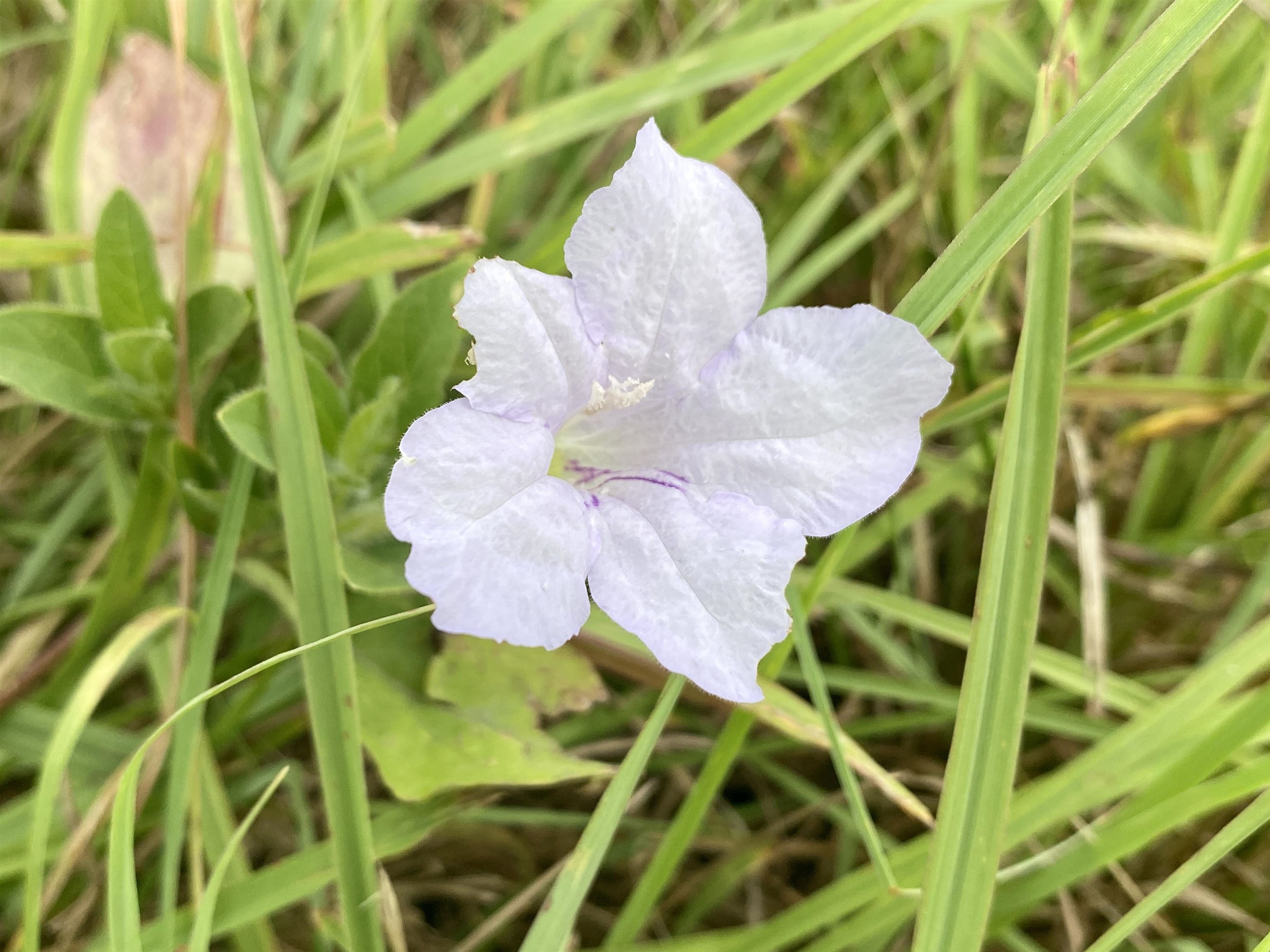 1380 4000th Road Elk City, KS 67344 - Photo 24 of 34