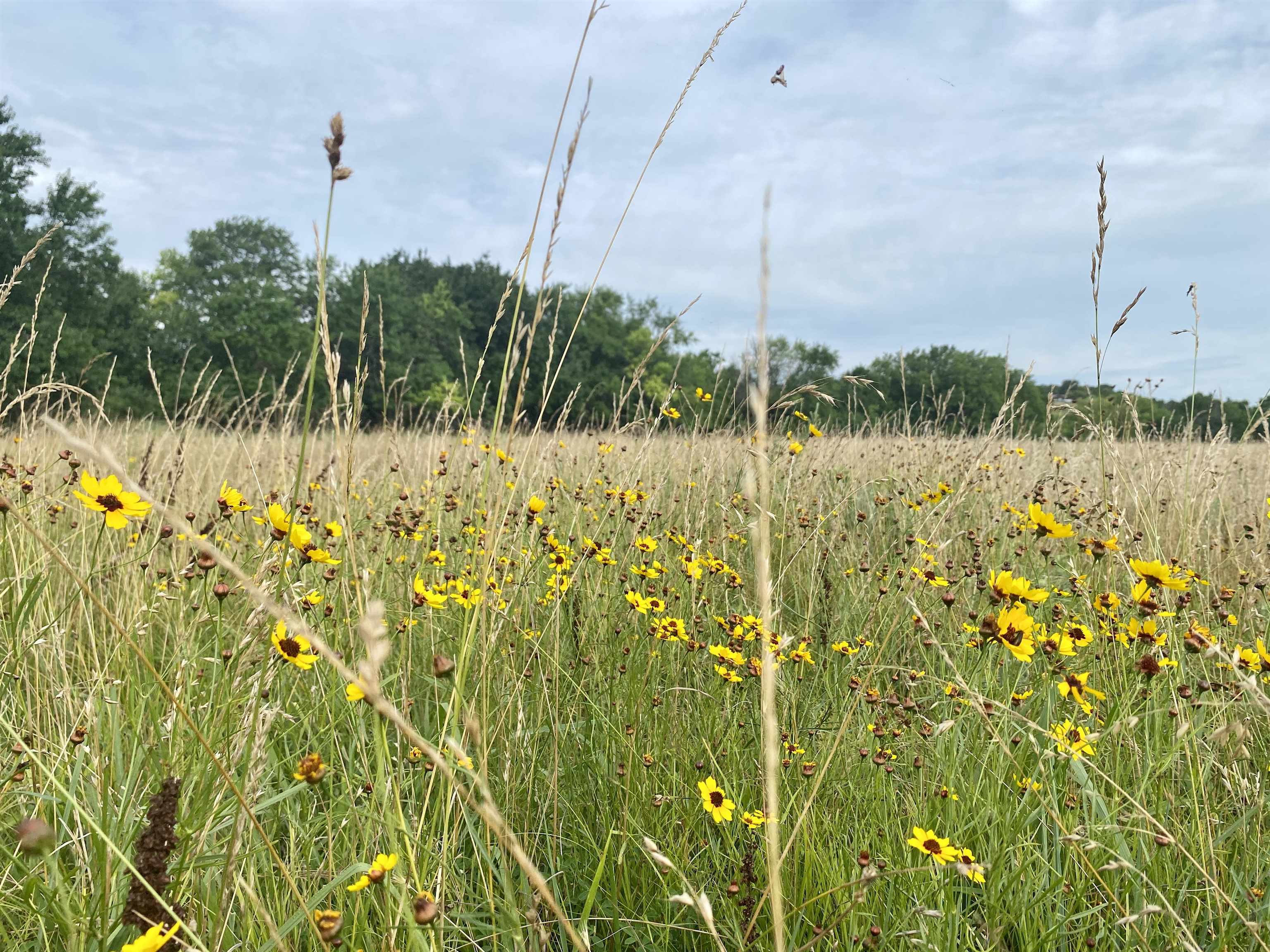 1380 4000th Road Elk City, KS 67344 - Photo 26 of 34
