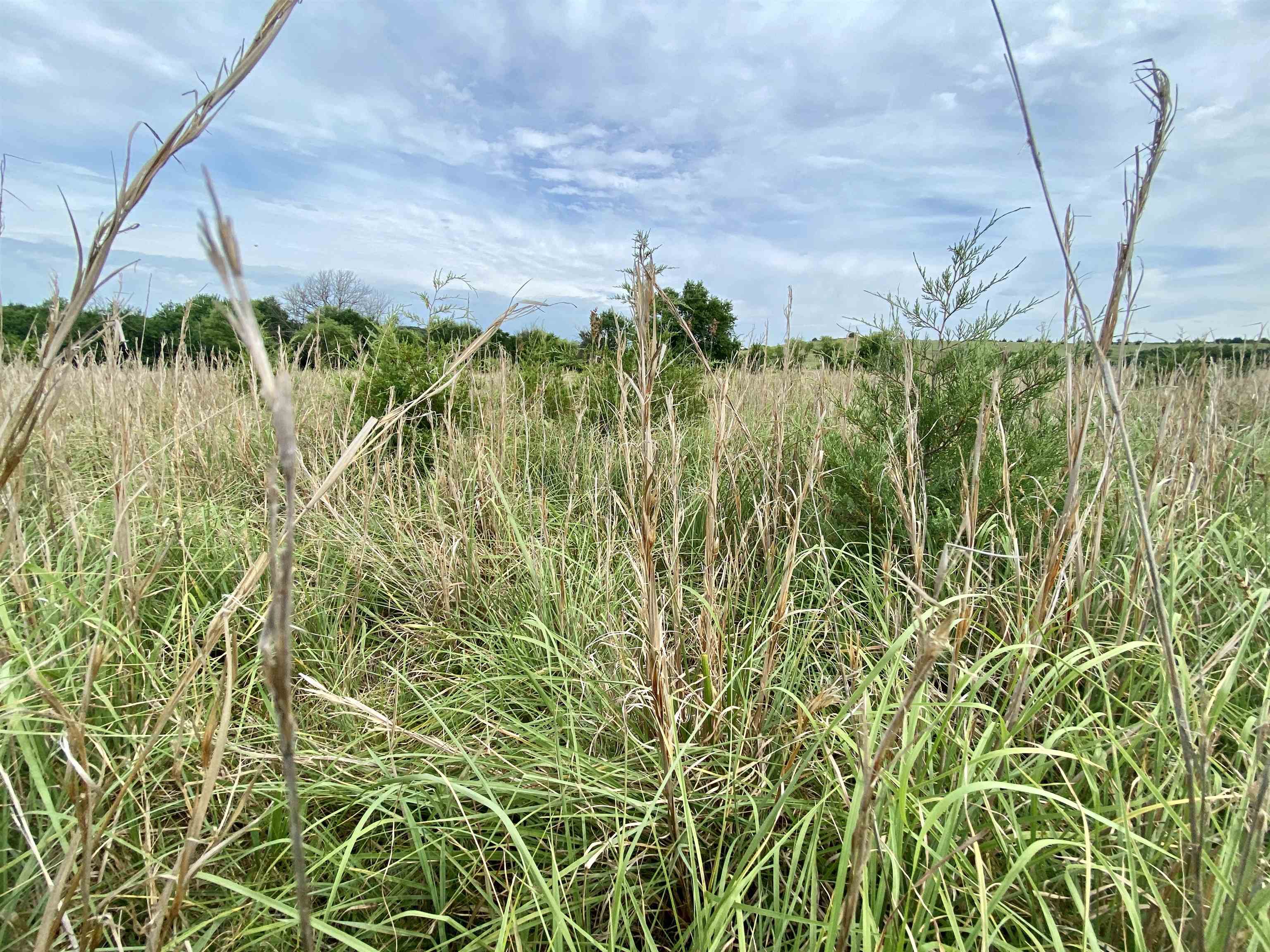 1380 4000th Road Elk City, KS 67344 - Photo 8 of 34