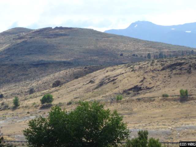 14007 Epidote Court Reno, NV 89521 - Photo 9 of 9 a view of a dry field with mountains in the background