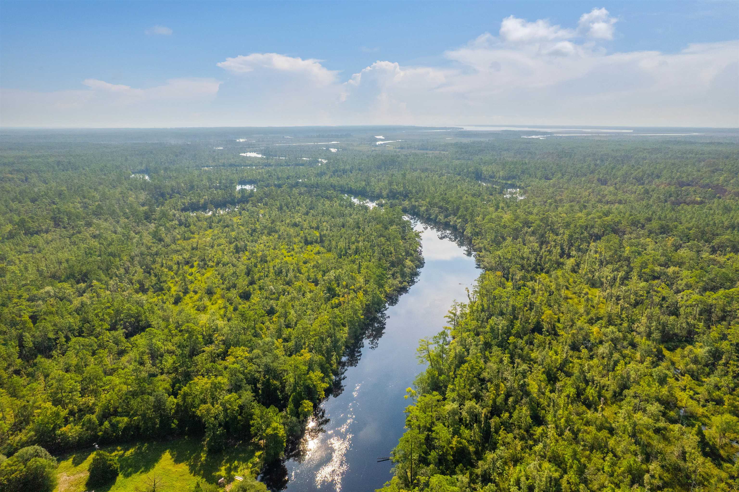 11 Green Road Sopchoppy, FL 32358 - Photo 11 of 41