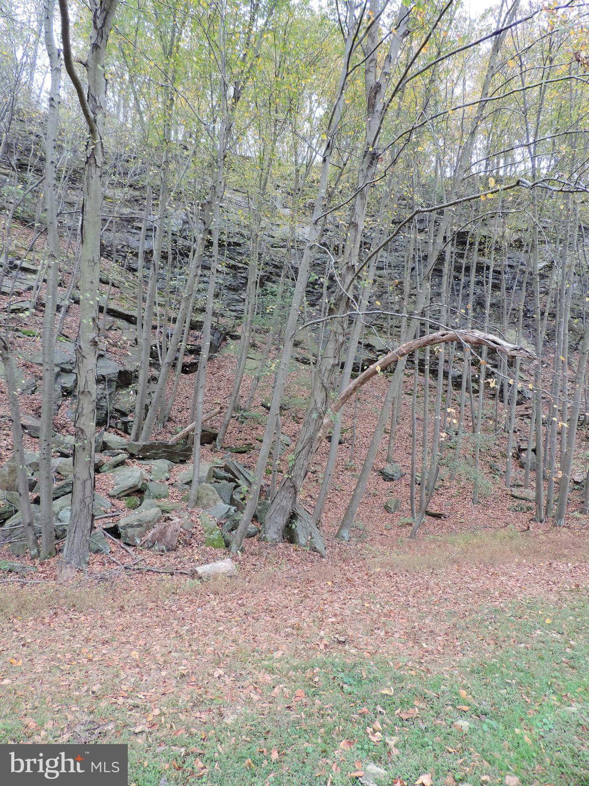 Rock Studded Rear of Lot