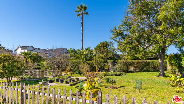 a view of a garden